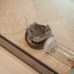 Maison des Métiers d’Art